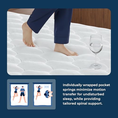 Colchão Queen Size de 12 Poleg - Memory Foam Mattress In A Box Queen avaliação e preço
